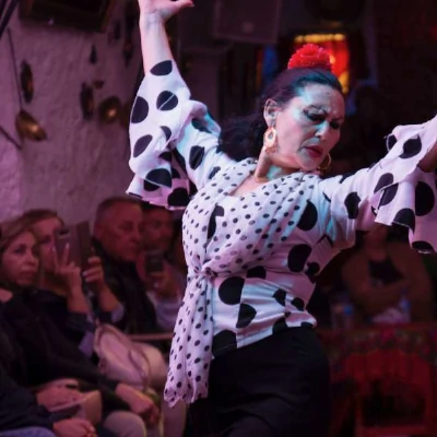 Sacromonte: espectáculo de flamenco en Cuevas Los Tarantos